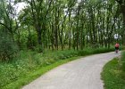 HerrickLakeBike070917-7096  Biking Danada Forest Preserve, looping around Herrick Lake : 2017, Biking, Danada, Danada Forest Preserve, Forest Preserve District of DuPage County, Herrick Lake