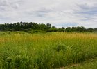 HerrickLakeBike070917-7097 : 2017, Biking, Danada, Danada Forest Preserve, Forest Preserve District of DuPage County, Herrick Lake