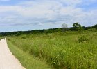 HerrickLakeBike070917-7100 : 2017, Biking, Danada, Danada Forest Preserve, Forest Preserve District of DuPage County, Herrick Lake