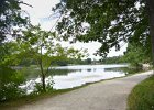 HerrickLakeBike070917-7104 : 2017, Biking, Danada, Danada Forest Preserve, Forest Preserve District of DuPage County, Herrick Lake