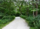 HerrickLakeBike070917-7108 : 2017, Biking, Danada, Danada Forest Preserve, Forest Preserve District of DuPage County, Herrick Lake