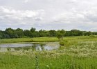 HerrickLakeBike070917-7109 : 2017, Biking, Danada, Danada Forest Preserve, Forest Preserve District of DuPage County, Herrick Lake