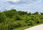 HerrickLakeBike070917-7110 : 2017, Biking, Danada, Danada Forest Preserve, Forest Preserve District of DuPage County, Herrick Lake