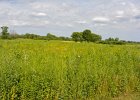 HerrickLakeBike070917-7111 : 2017, Biking, Danada, Danada Forest Preserve, Forest Preserve District of DuPage County, Herrick Lake