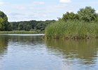 Busse Lake  Kayaking Busse Lake : 2017, Busse Forest Nature Preserve, Busse Lake, Kayaking