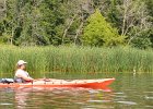 Busse Lake  Kayaking Busse Lake : 2017, Busse Forest Nature Preserve, Busse Lake, Kayaking
