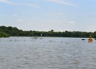 Busse Lake  Kayaking Busse Lake : 2017, Busse Forest Nature Preserve, Busse Lake, Kayaking