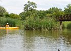 Busse Lake  Kayaking Busse Lake : 2017, Busse Forest Nature Preserve, Busse Lake, Kayaking