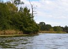 BusseKayak100117-7357  Kayaking Busse Woods Forest Preserve : 2017, Busse Forest Nature Preserve, Busse Lake, Cook County, Forest Preserves of Cook County, Kayaking, paddling