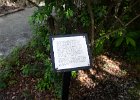 DSC 0886  Near the Long White Bridge and Lake. Magnolia Plantation and Gardens : 2017, Charleston, Liane and Mike, Magnolia Plantation and Gardens, SC, South Carolina, Wedding