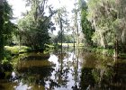 DSC 0888  Near the Long White Bridge and Lake. Magnolia Plantation and Gardens : 2017, Charleston, Liane and Mike, Magnolia Plantation and Gardens, SC, South Carolina, Wedding