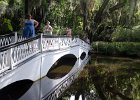 DSC 0889  Near the Long White Bridge and Lake. Magnolia Plantation and Gardens : 2017, Charleston, Liane and Mike, Magnolia Plantation and Gardens, SC, South Carolina, Wedding