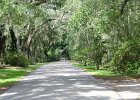 DSC 0914  Magnolia Plantation and Gardens : 2017, Charleston, Liane and Mike, Magnolia Plantation and Gardens, SC, South Carolina, Wedding