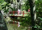 DSC 0982  Near the Conservatory. Magnolia Plantation and Gardens : 2017, Charleston, Liane and Mike, Magnolia Plantation and Gardens, SC, South Carolina, Wedding