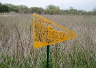 Curtis Prairie Sign  Curtis Prairie Sign. Stories in The Land, Liz's Art Exhibition at the University of Wisconsin-Madison Arboretum, April 2017 : 2017, Art Exhibition, Curtis Prairie, Liz, Liz Art Show, Madison, Prairie Restoration, Stories in The Land, UW-Madison, University of Wisconsin, University of Wisconsin-Madison Arboretum, Wisconsin