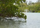 Captiva042018-7863  Kayaking around Buck Key. Started South along Roosevelt Channel, then went all the way around the far side. Tide coming in, strong wind from the South : 2018, Buck Key, Captiva, Kayaking