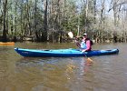 Cedar Creek  Kayaking Cedar Creek in the Congaree National Park : 2018, Cedar Creek, Columbia, Congaree National Park, Kayaking, SC, South Carolina