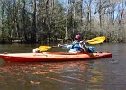 Cedar Creek  Kayaking Cedar Creek in the Congaree National Park : 2018, Cedar Creek, Columbia, Congaree National Park, Kayaking, SC, South Carolina