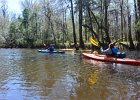 Cedar Creek  Kayaking Cedar Creek in the Congaree National Park : 2018, Cedar Creek, Columbia, Congaree National Park, Kayaking, SC, South Carolina