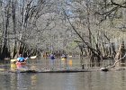 Cedar Creek  Kayaking Cedar Creek in the Congaree National Park : 2018, Cedar Creek, Columbia, Congaree National Park, Kayaking, SC, South Carolina