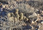 Lost Dog Wash  Hike Lost Dog Wash Trail, Sonoran Desert, McDowell Mountains : 2018, AZ, Arizona, Hiking, Lost Dog Wash Trail, McDowell Mountain area, Phoenix, Sonoran Desert