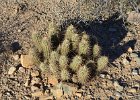 Lost Dog Wash  Hike Lost Dog Wash Trail, Sonoran Desert, McDowell Mountains : 2018, AZ, Arizona, Hiking, Lost Dog Wash Trail, McDowell Mountain area, Phoenix, Sonoran Desert