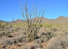 Lost Dog Wash  Hike Lost Dog Wash Trail, Sonoran Desert, McDowell Mountains : 2018, AZ, Arizona, Hiking, Lost Dog Wash Trail, McDowell Mountain area, Phoenix, Sonoran Desert
