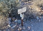 Lost Dog Wash  Branched-off going North on the Ringtail Trail, Hike Lost Dog Wash Trail, Sonoran Desert, McDowell Mountains : 2018, AZ, Arizona, Hiking, Lost Dog Wash Trail, McDowell Mountain area, Phoenix, Ringtail Trail, Sonoran Desert
