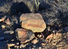 Lost Dog Wash  Hike Lost Dog Wash Trail, Sonoran Desert, McDowell Mountains : 2018, AZ, Arizona, Hiking, Lost Dog Wash Trail, McDowell Mountain area, Phoenix, Sonoran Desert
