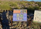 Lost Dog Wash  At the trailhead. Hike Lost Dog Wash Trail, Sonoran Desert, McDowell Mountains : 2018, AZ, Arizona, Hiking, Lost Dog Wash Trail, McDowell Mountain area, Phoenix, Sonoran Desert