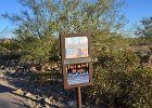 Lost Dog Wash  At the trailhead. Hike Lost Dog Wash Trail, Sonoran Desert, McDowell Mountains : 2018, AZ, Arizona, Hiking, Lost Dog Wash Trail, McDowell Mountain area, Phoenix, Sonoran Desert