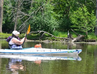 Kayak Skokie Lagoons 062919