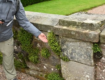 Day4RoyalScotsmanKeswickSat100519