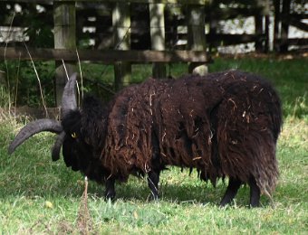 Day7RoyalScotsmanCawdorCastleTue100819