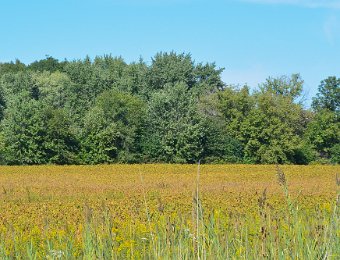 BikePrairiePathEola091920