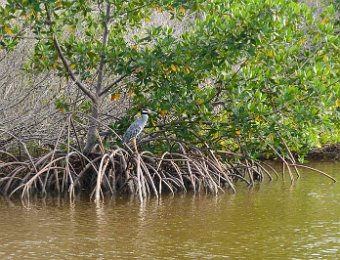 KayakClamBayou100920