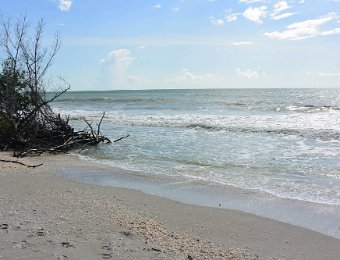 KayakClamBayou101020