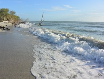 KayakClamBayou123120