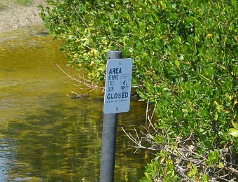 BikeDingDarling010421