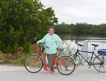 BikeDingDarling011721