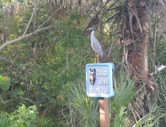 BikeDingDarling062621