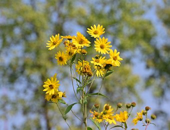 BikeWaterfallGlenn091921