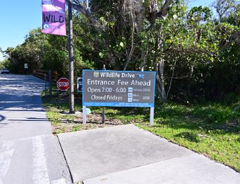 BikeDingDarling030222