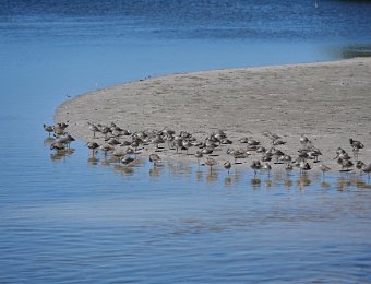 BikeDingDarling041022