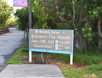 BikeDingDarling082322