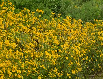 BikeWaterfallGlen090422