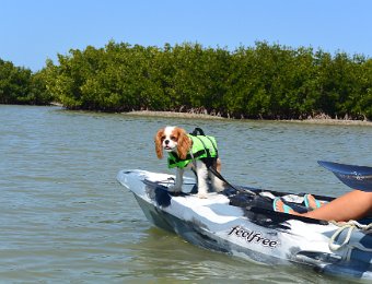 KayakClamBayou031822