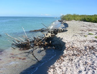 KayakClamBayou070822