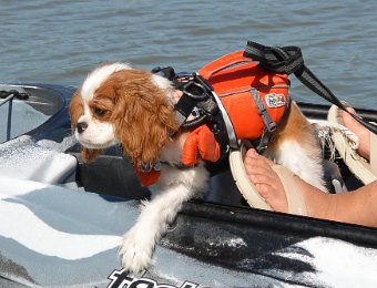 KayakClamBayouDoc011522