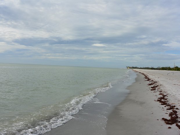 Kayak Clam Bayou 121825